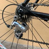 Bici da corsa