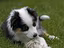 Immagine 3