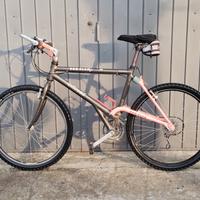 Bici Mountain bike da corsa 