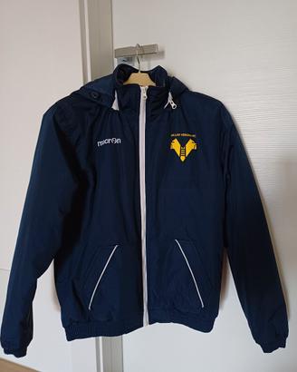 Giacca Hellas Verona