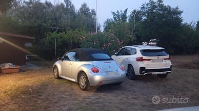 new beattle cabrio