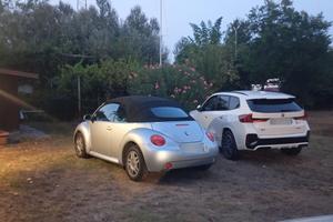 new beattle cabrio