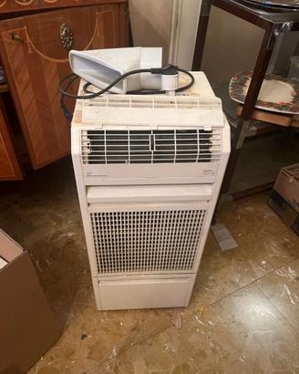 Climatizzatore portatile White-Westinghouse