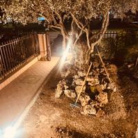 pietre decorative da giardino