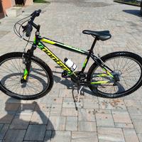 Bici montata 