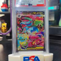 Stand per carte gradate PSA