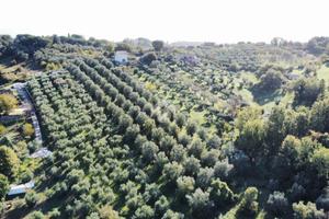 TER. AGRICOLO A FIANO ROMANO