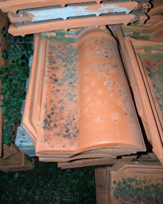 Tegole Portoghesi in terracotta - Ritiro a mano