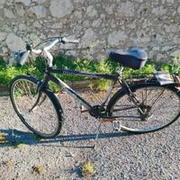bicicletta Lombardo, mod. Siena 100