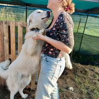 Titty e Tony: un sogno verso la libertà