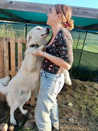 Titty e Tony: un sogno verso la libertà