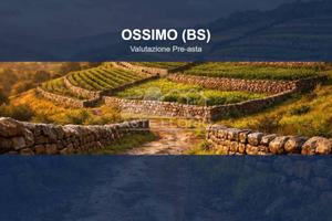 Immobile in asta di 15253 m² a Ossimo