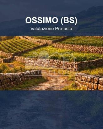 Immobile in asta di 15253 m² a Ossimo