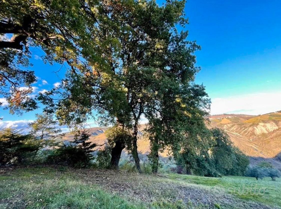 Casolare/ villa singola a Elice - Vista 3