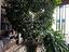 Immagine 11