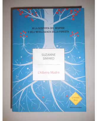 🌳 Alberi, meravigliose creature verdi!❤️