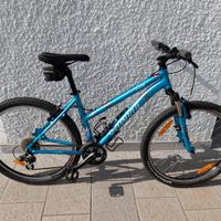 bicicletta MTB 