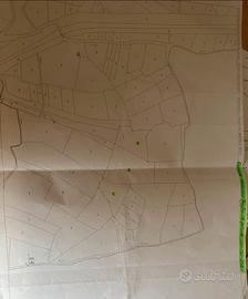 Terreno agricolo Marrubiu