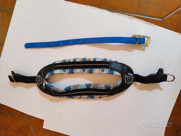 pettorina e collarino