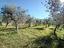 Immagine 7