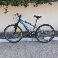 bicicletta