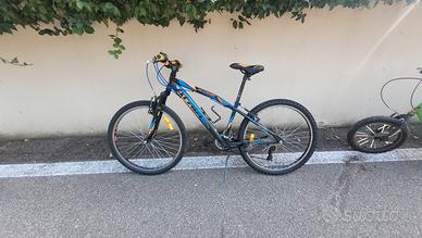 bicicletta