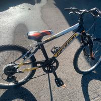 Bicicletta