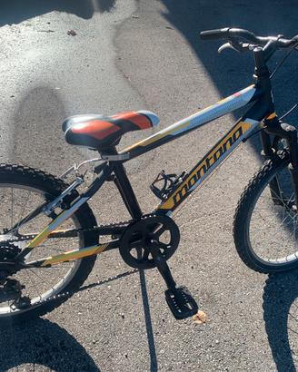 Bicicletta