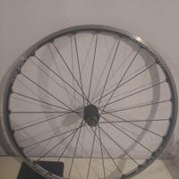 Cerchio posteriore bici da Corsa