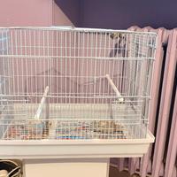 Gabbia come nuovo