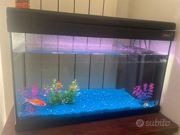 Acquario completo con accessori