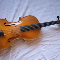 Viola strumento (Toppetti 01)