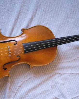 Viola strumento (Toppetti 01)