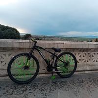 bicicletta marca Vicini taglia 27.5