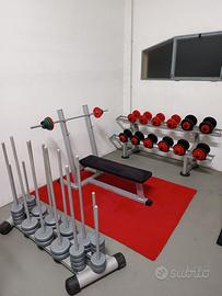 Palestra Completa 250 kg pesi