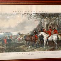 4 quadri Fores’s National Sports Fox Hunting