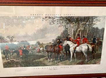 4 quadri Fores’s National Sports Fox Hunting