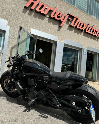 Harley Sportsters s1250