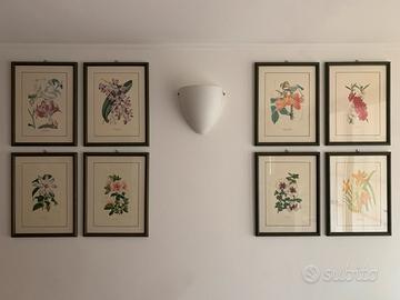 Quadri stampe motivi floreali botanici fiori piant