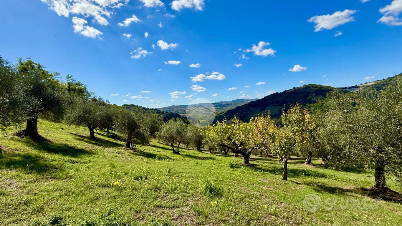 TER. AGRICOLO A SALUDECIO - Altro
