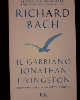 Il Gabbiano Jonathan Livingston