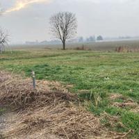 RGE 310/2024 Tribunale Verona