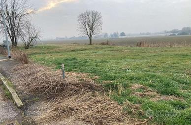 RGE 310/2024 Tribunale Verona