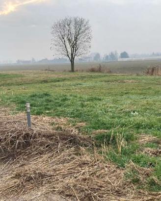 RGE 310/2024 Tribunale Verona