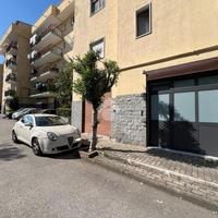 NEGOZIO A POLLENA TROCCHIA