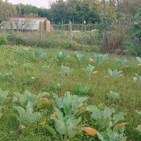 Terreno agricolo uso orto