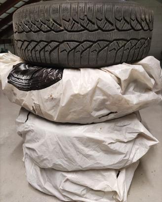 Gomme invernali per Ford Focus e Cmax