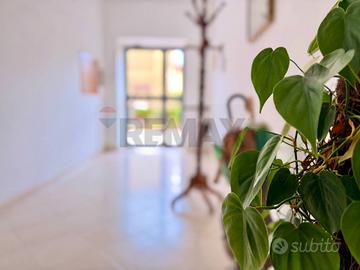 Appartamento - Calvizzano