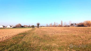 Terreno agricolo seminativo - Maserà di Padova