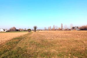 Terreno agricolo seminativo - Maserà di Padova
